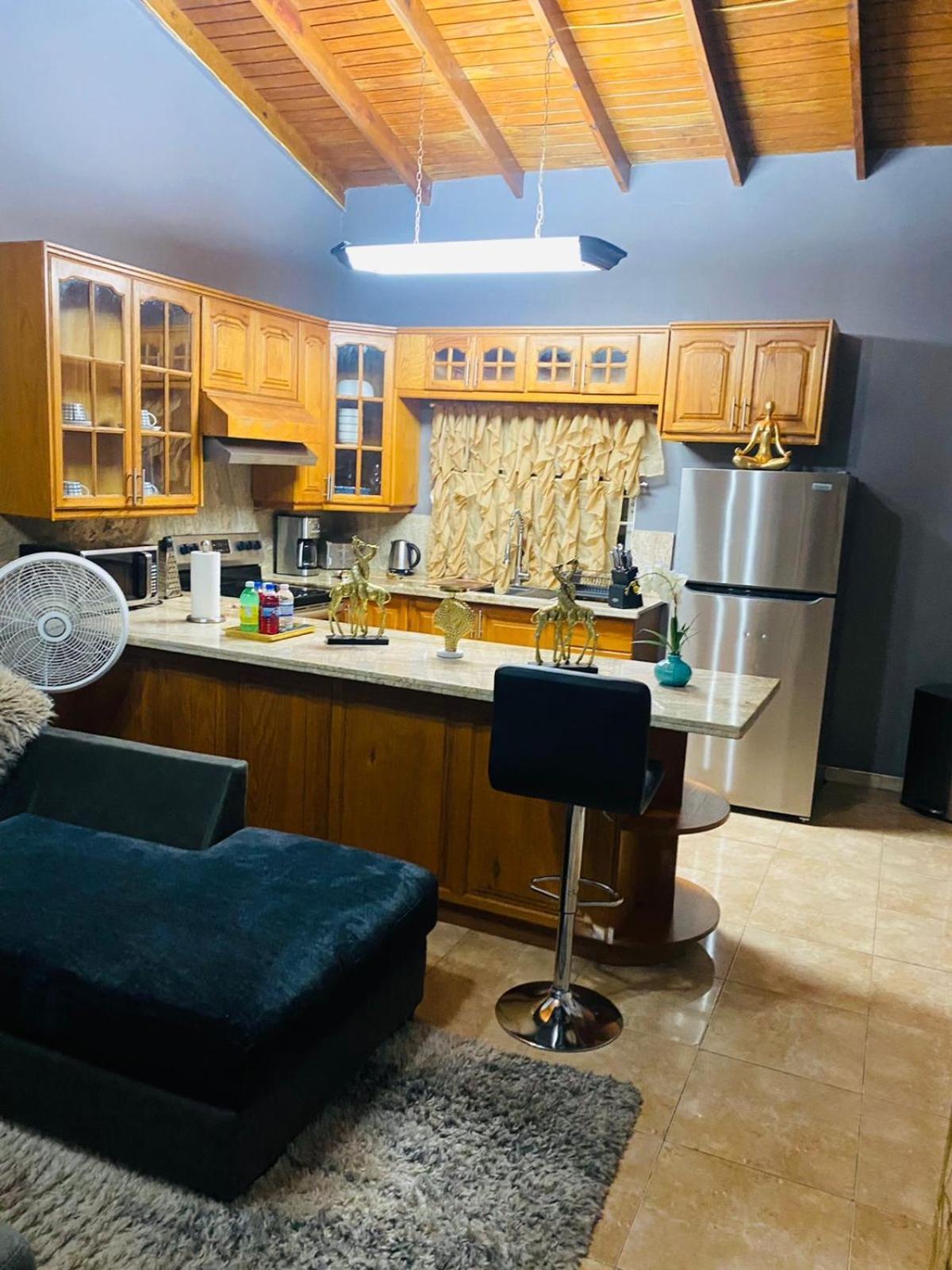 Blissett Apt, Your Jamaican Home Kingston Eksteriør bilde